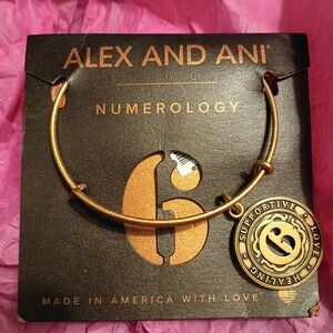 Alex and Ani Gold Numerology Bangle